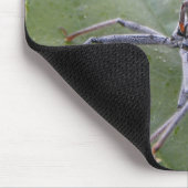 Ernsthaft Sie mich betrachtend? Mousepad (Ecke)