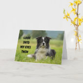 ERNSTHAFTE HUNDE WILL, DASS TWIN DEN GLÜCKLICHSTEN KARTE (Gelbe Blume)