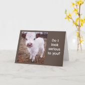 ERNSTHAFTE/NIEDLICHE KUHE SAGT "GLÜCKLICHER GEBURT KARTE (Gelbe Blume)