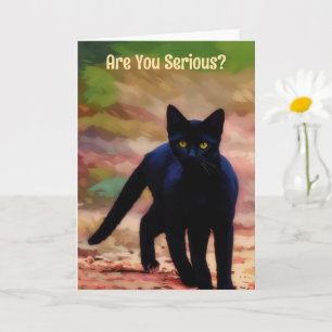 Ernsthafte Suche Black Cat Fun Pun Geburtstagskart Karte