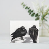 Ernsthafte Taubensituation 2012 Postkarte (Stehend Vorderseite)