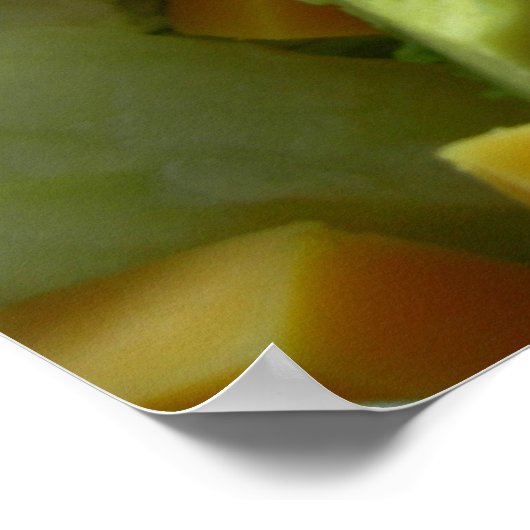 Ernsthafter Salat Poster (Ecke)