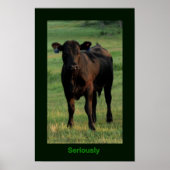 Ernsthaftes Poster (Vorne)