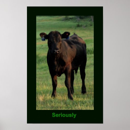 Ernsthaftes Poster (Vorne)