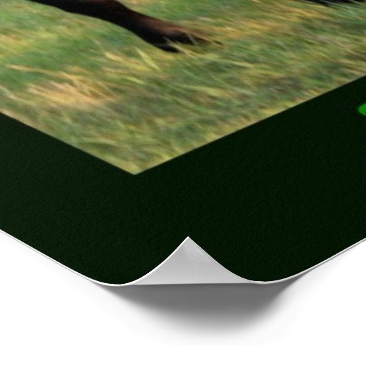 Ernsthaftes Poster (Ecke)