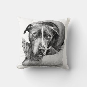 Ernte Abend Companion Kissen