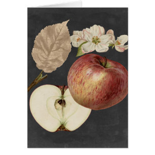 Ernte am Mitternacht II