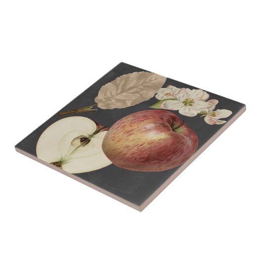 Ernte am Mitternacht II Fliese (Seite)