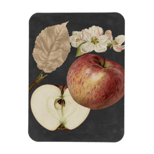 Ernte am Mitternacht II Magnet