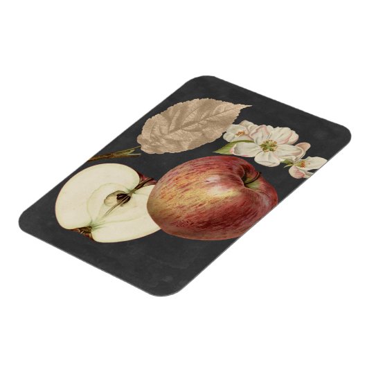 Ernte am Mitternacht II Magnet (Linke Seite)