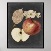 Ernte am Mitternacht II Poster (Vorne)