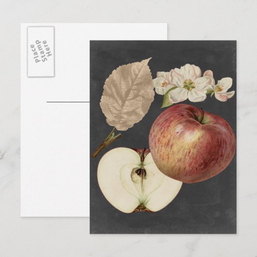 Ernte am Mitternacht II Postkarte (Vorne/Hinten)