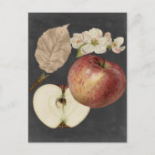 Ernte am Mitternacht II Postkarte (Vorderseite)