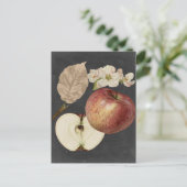 Ernte am Mitternacht II Postkarte (Stehend Vorderseite)