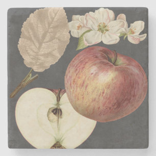 Ernte am Mitternacht II Steinuntersetzer