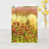 Ernte-Anmerkungs-Karten-Sammlung Karte (Gelbe Blume)