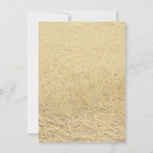 Ernte der Liebe Einladung (Rückseite)