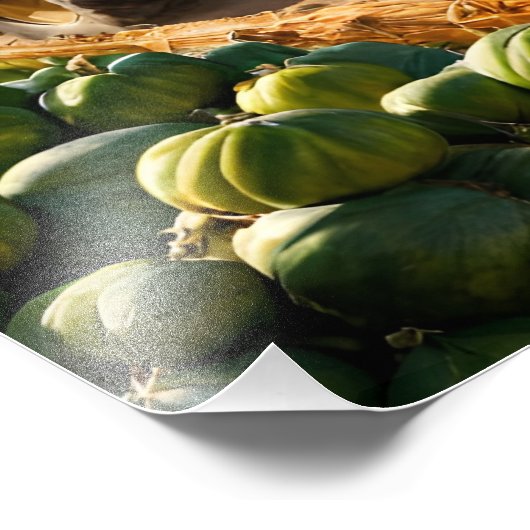 Ernte Fotodruck (Ecke)