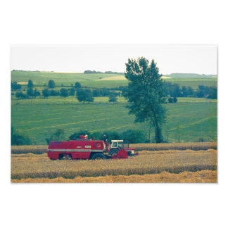 Ernte Fotodruck