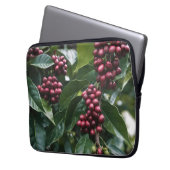 **"Ernte im Blut: Kaffeebohnen auf dem Baum"** Laptopschutzhülle (Vorderseite Links)
