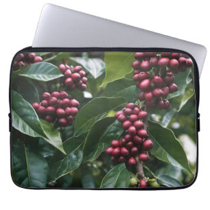 **"Ernte im Blut: Kaffeebohnen auf dem Baum"** Laptopschutzhülle