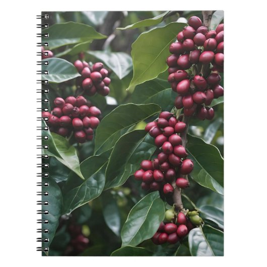 **"Ernte im Blut: Kaffeebohnen auf dem Baum"** Notizblock (Vorderseite)