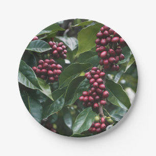 **"Ernte im Blut: Kaffeebohnen auf dem Baum"** Pappteller