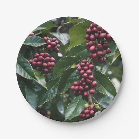 **"Ernte im Blut: Kaffeebohnen auf dem Baum"** Pappteller (Vorderseite)