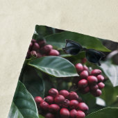 **"Ernte im Blut: Kaffeebohnen auf dem Baum"** Strandtuch (Beispiel)