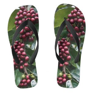 **"Ernte in Blüte: Kaffeebohnen am Baum"** Badesandalen