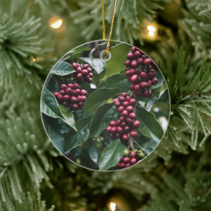 **"Ernte in Blüte: Kaffeebohnen am Baum"** Keramik Ornament