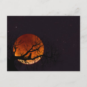 Ernte-Mond mit Baum-und Katzen-Silhouette Postkarte