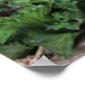 Ernte Poster (Ecke)