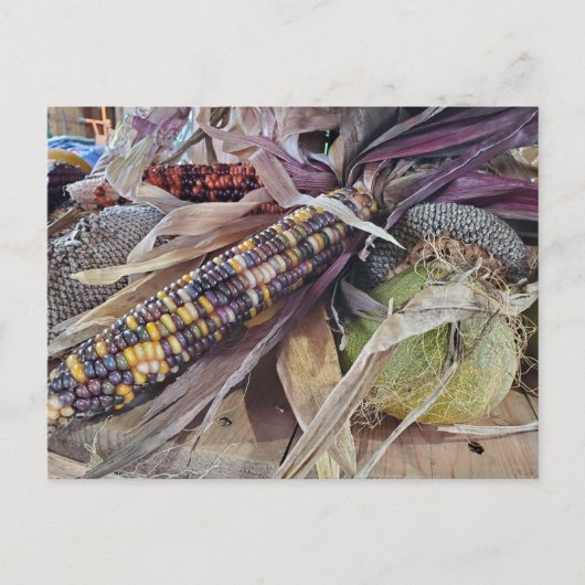 Ernte Postkarte (Vorderseite)