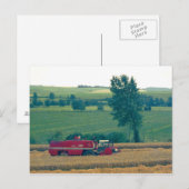 Ernte Postkarte (Vorne/Hinten)
