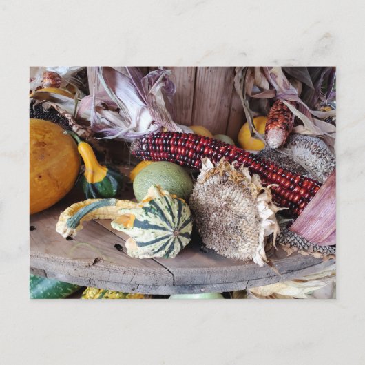 Ernte Postkarte (Vorderseite)