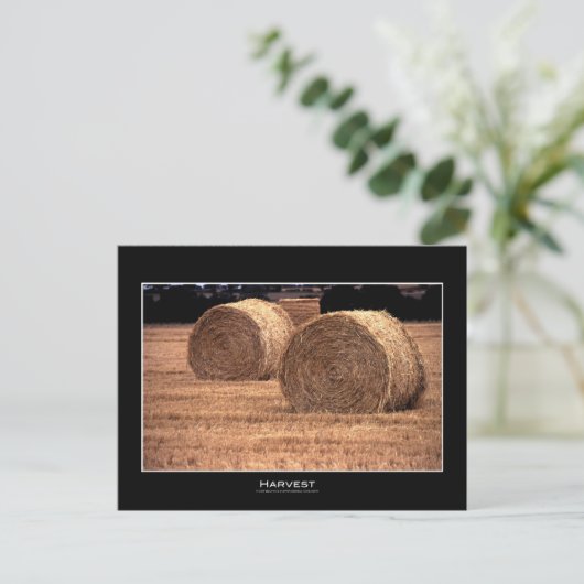 Ernte | Postkarten (Stehend Vorderseite)