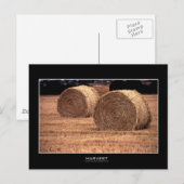 Ernte | Postkarten (Vorne/Hinten)