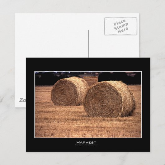 Ernte | Postkarten (Vorne/Hinten)