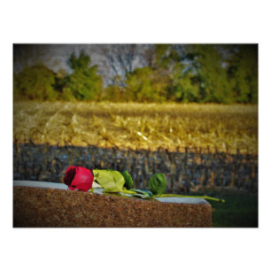 "Ernte Segen" Fotodruck