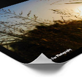 Ernte Sonnenaufgang Poster (Ecke)