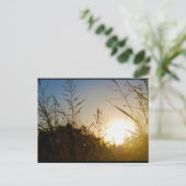 Ernte Sonnenaufgang Postkarte (Stehend Vorderseite)