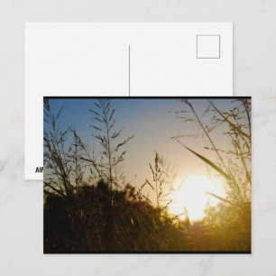 Ernte Sonnenaufgang Postkarte