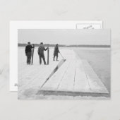 Ernte von Eisblöcken, 1906 Postkarte (Vorne/Hinten)