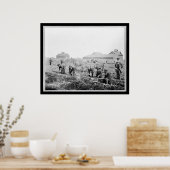 Ernte von Kartoffeln an der Universität Claflin 19 Poster (Küche)