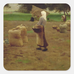 Ernte von Kartoffeln Quadratischer Aufkleber