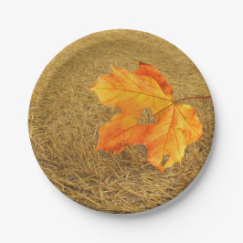 Ernte von Papierplatten aus Liebe Pappteller