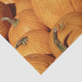 Ernte von Pumpkins-Foto Seidenpapier (Ausschnitt)