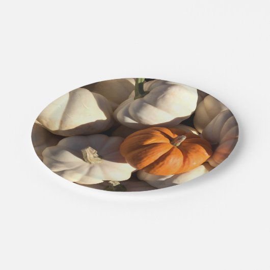 Erntedank-Abendessen-Kürbis-Ernte Pappteller (Schrägansicht)