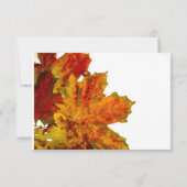 Erntedank-Abendessen-Party Einladung (Rückseite)